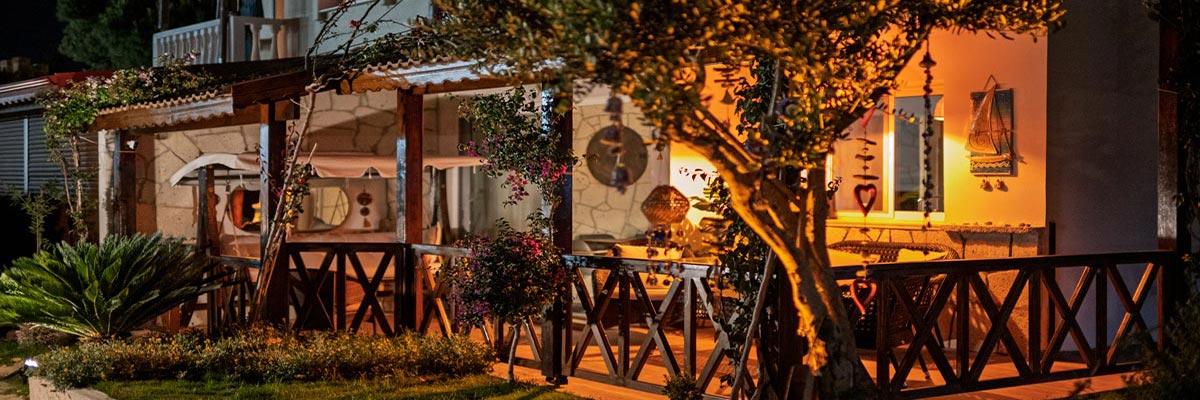Ahşap Pergola ve Kamelya
